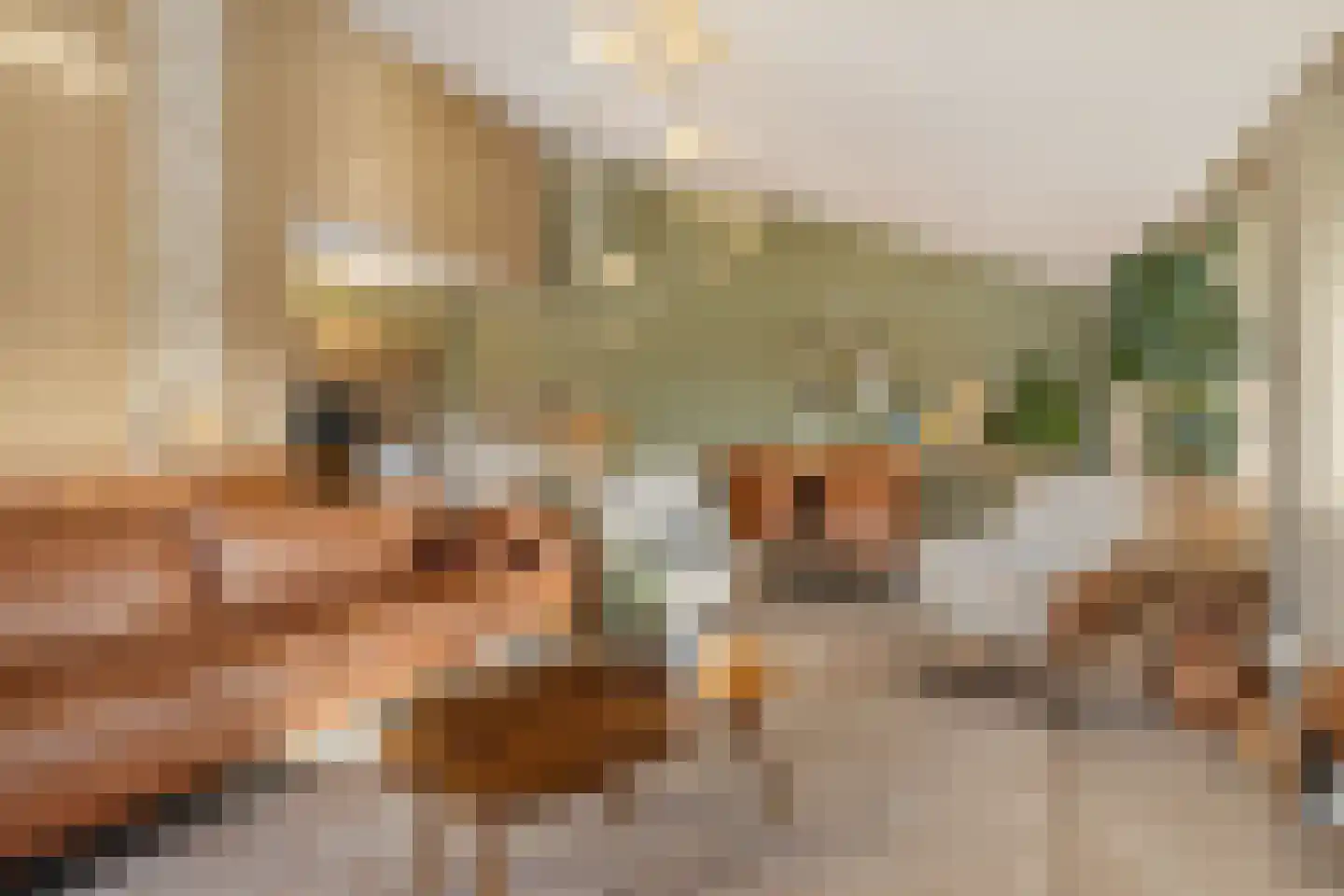 Winterpeil 22 Delfzijl thumbnail 4