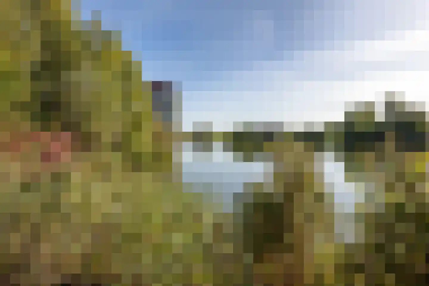 Winterpeil 22 Delfzijl thumbnail 47