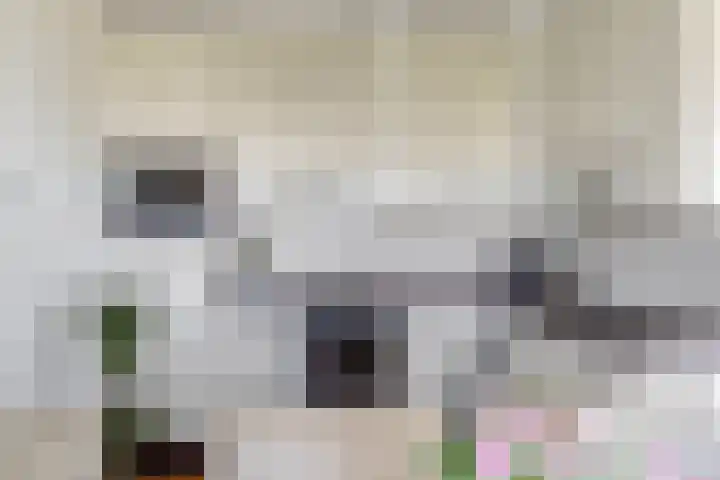 Winterpolder 16 Houten thumbnail 12