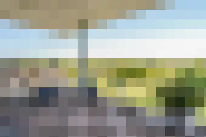 Winterpolder 16 Houten thumbnail 23