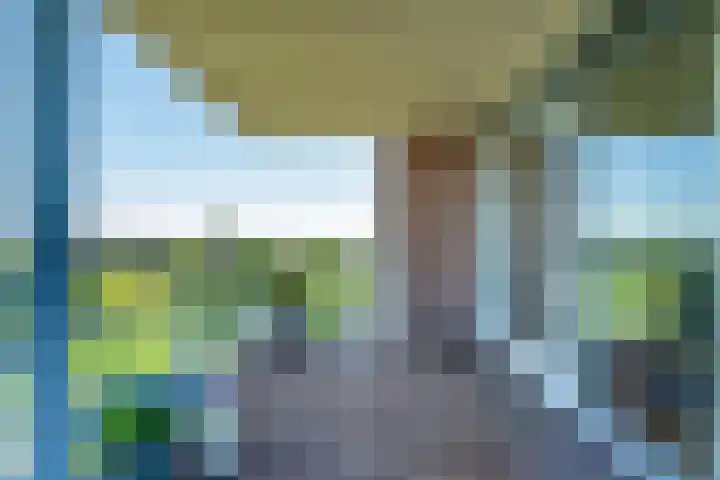 Winterpolder 16 Houten thumbnail 25