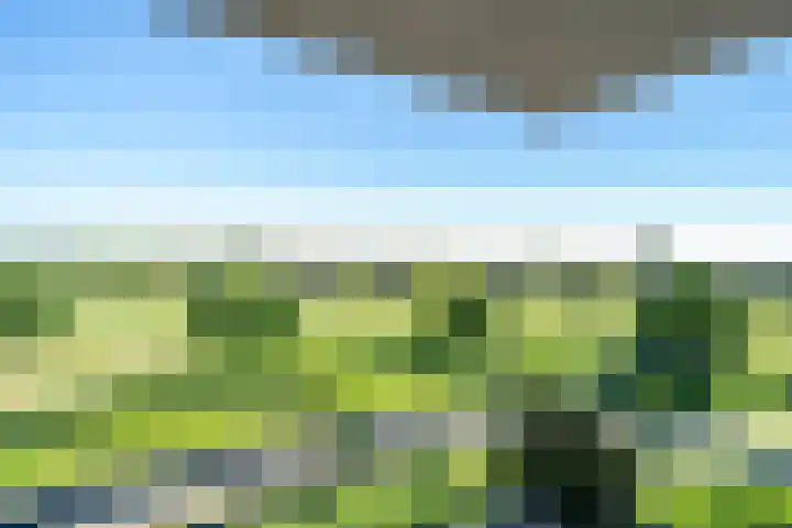 Winterpolder 16 Houten thumbnail 27