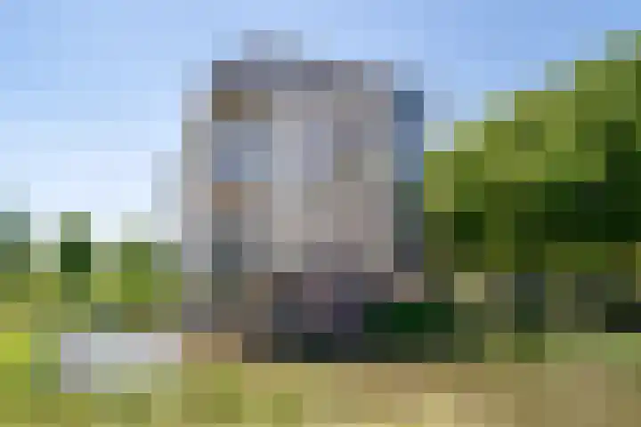 Winterpolder 16 Houten thumbnail 32