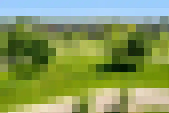 Winterpolder 16 Houten thumbnail 35