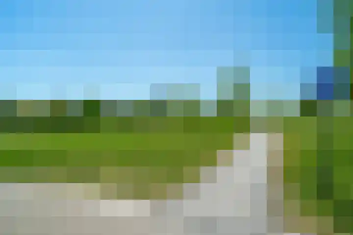 Winterpolder 16 Houten thumbnail 36