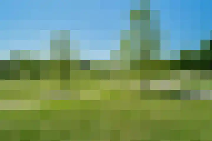 Winterpolder 16 Houten thumbnail 37