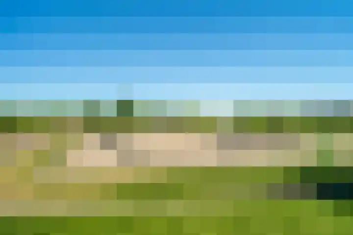 Winterpolder 16 Houten thumbnail 38