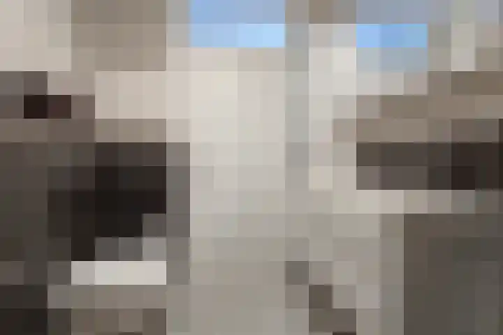 Winterpolder 2 Houten thumbnail 23