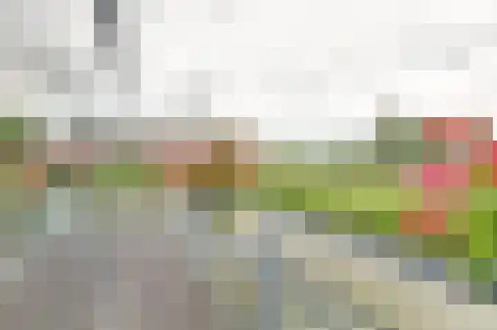 Winterpolder 2 Houten thumbnail 28