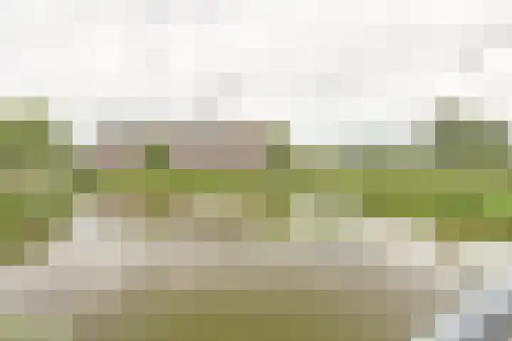 Winterpolder 2 Houten thumbnail 30