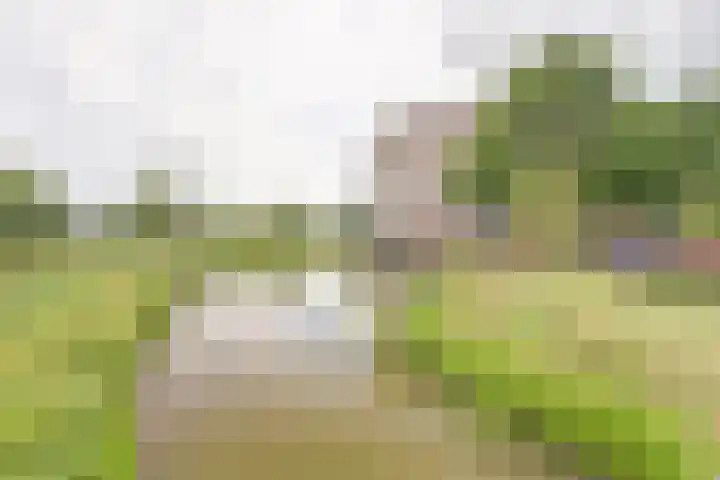 Winterpolder 2 Houten thumbnail 33