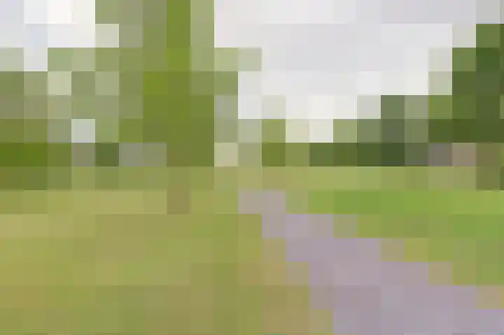 Winterpolder 2 Houten thumbnail 37