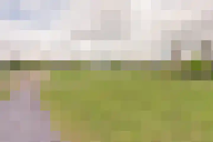 Winterpolder 2 Houten thumbnail 38