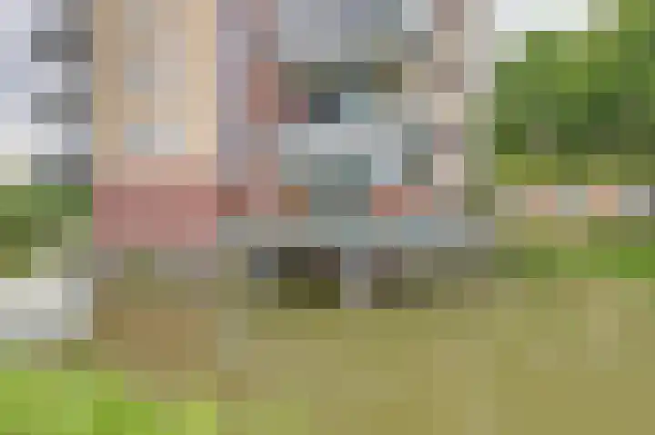 Winterpolder 2 Houten thumbnail 4