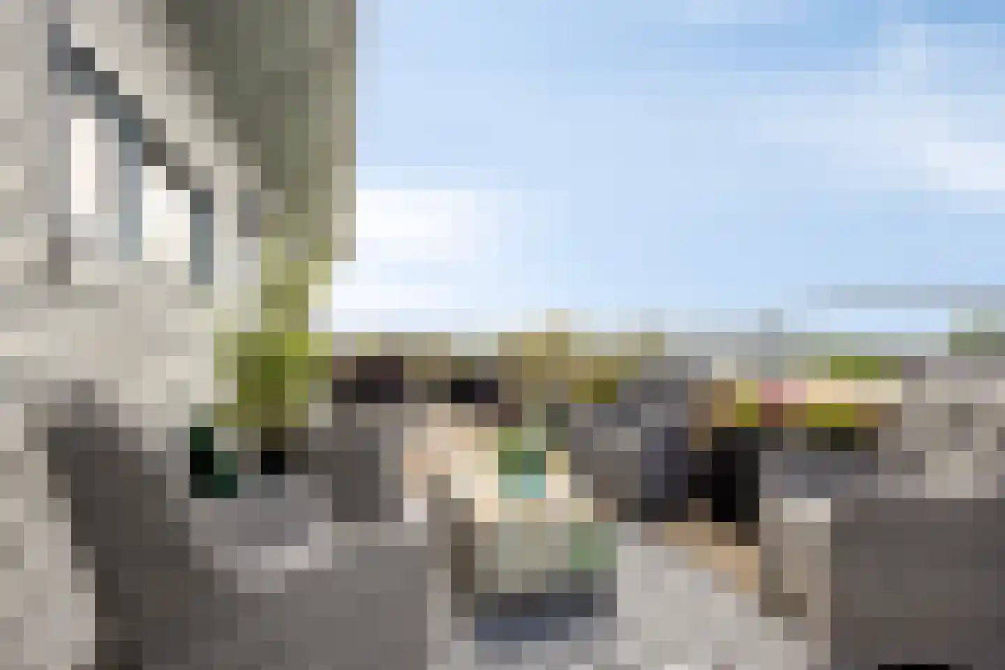 Winterpolder 20 Houten thumbnail 22