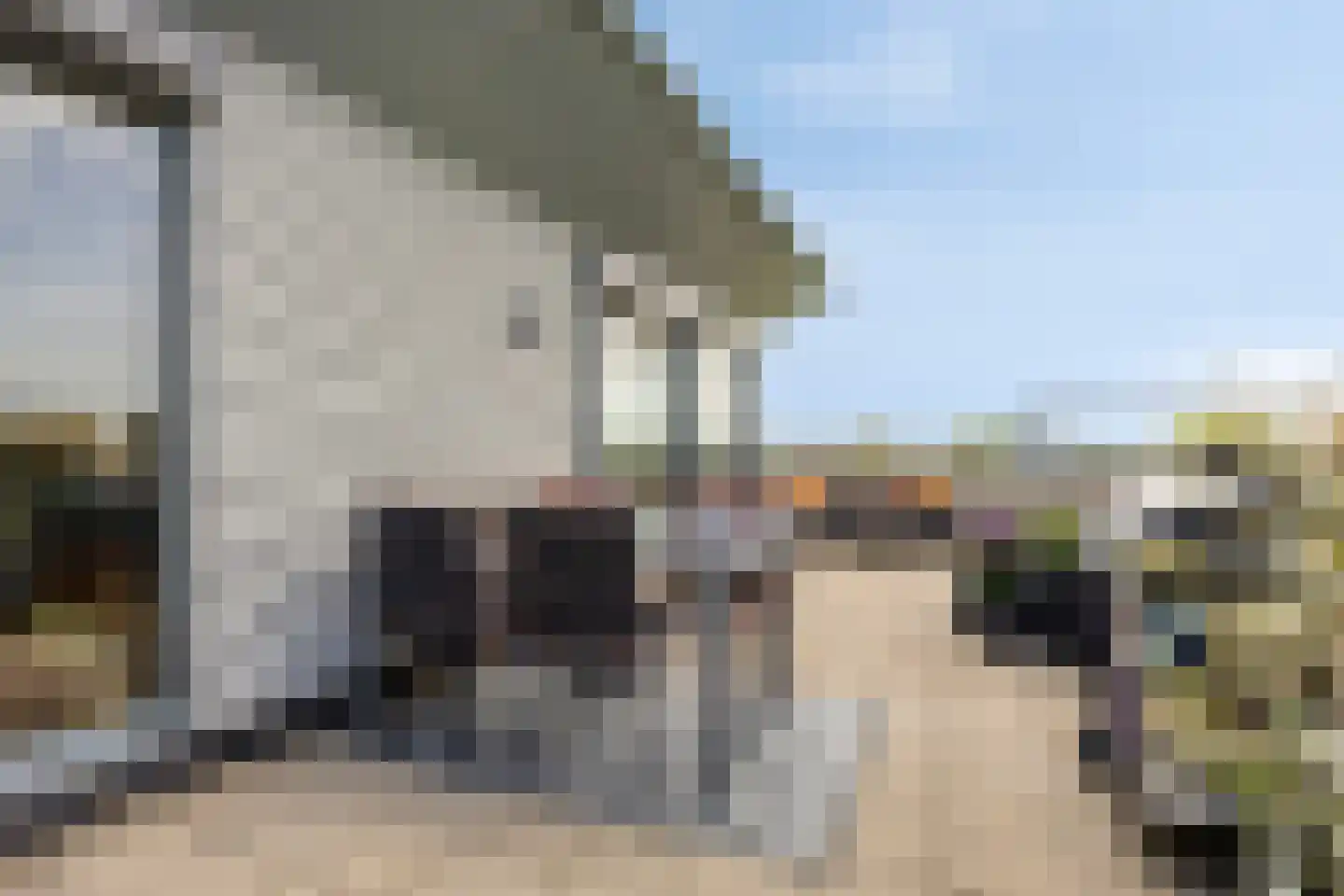 Winterpolder 20 Houten thumbnail 23