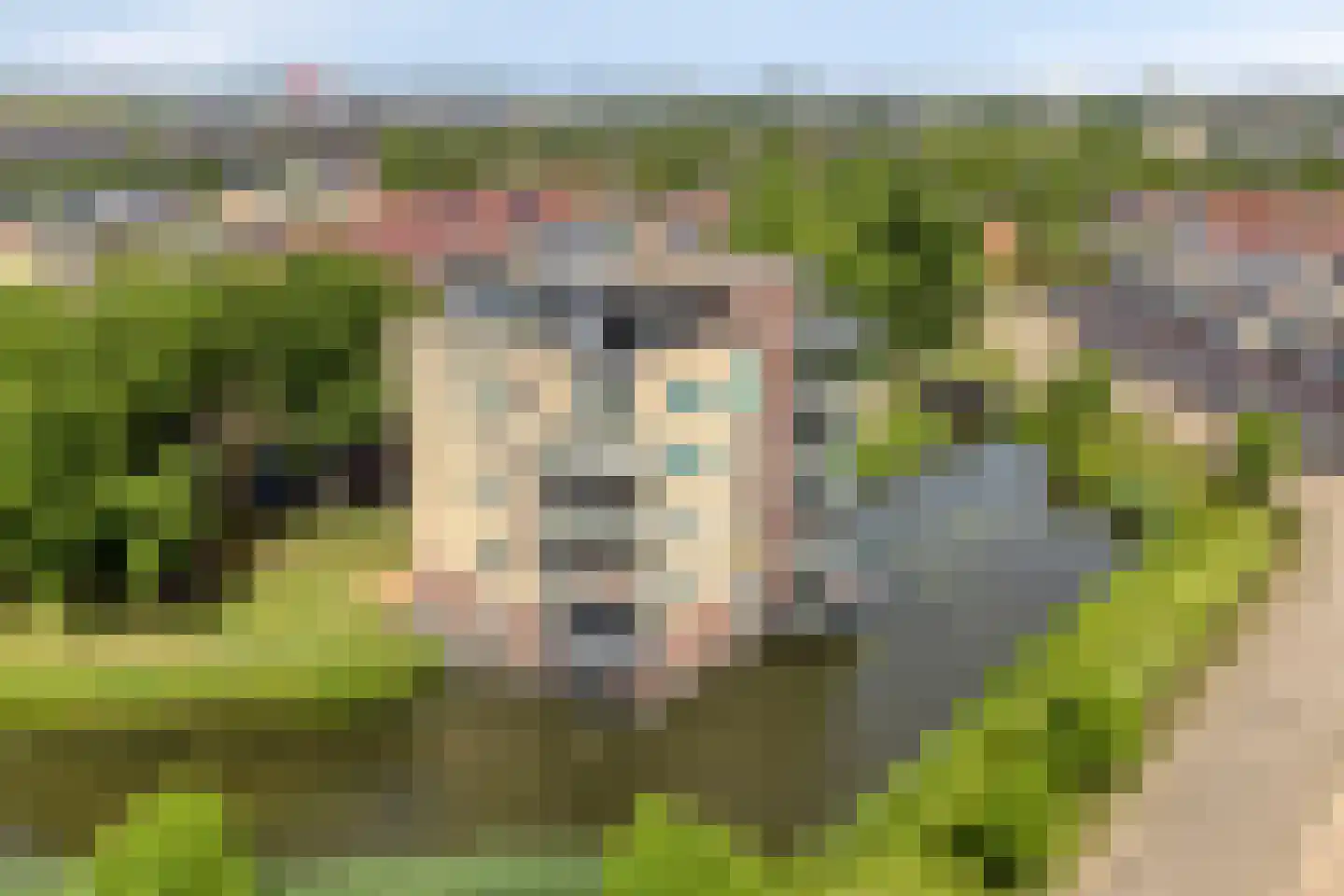 Winterpolder 20 Houten thumbnail 25