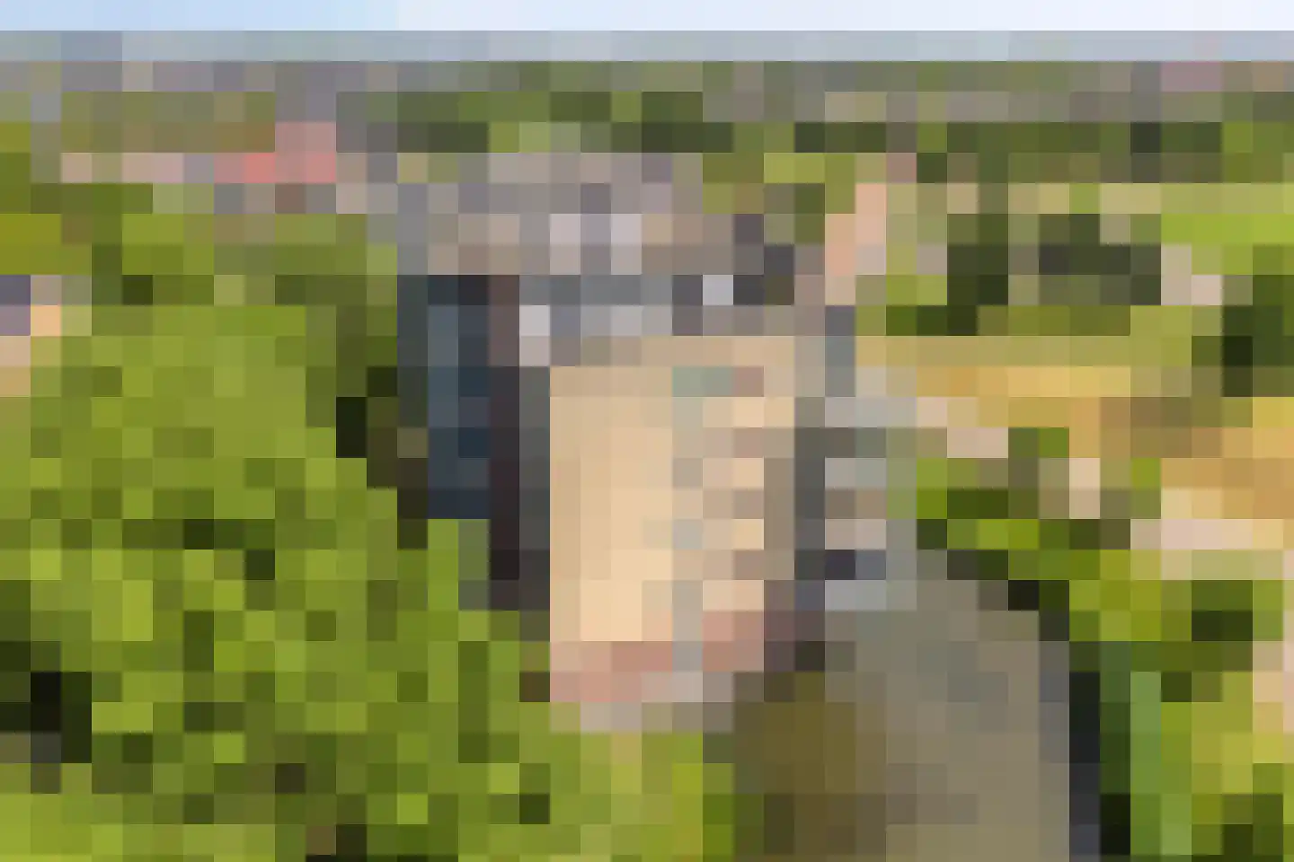Winterpolder 20 Houten thumbnail 45