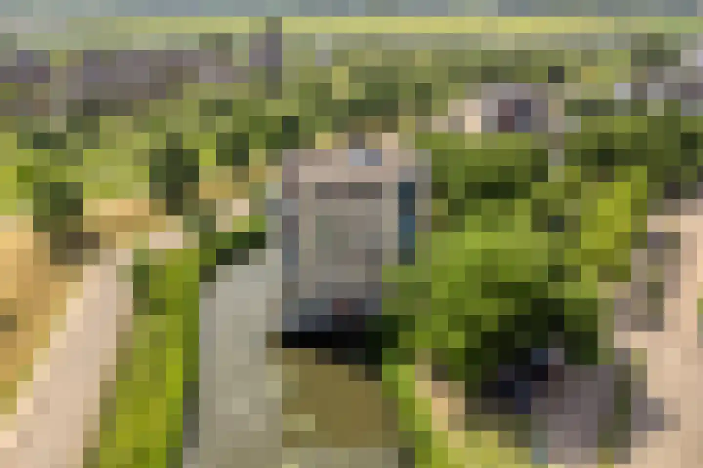Winterpolder 20 Houten thumbnail 46