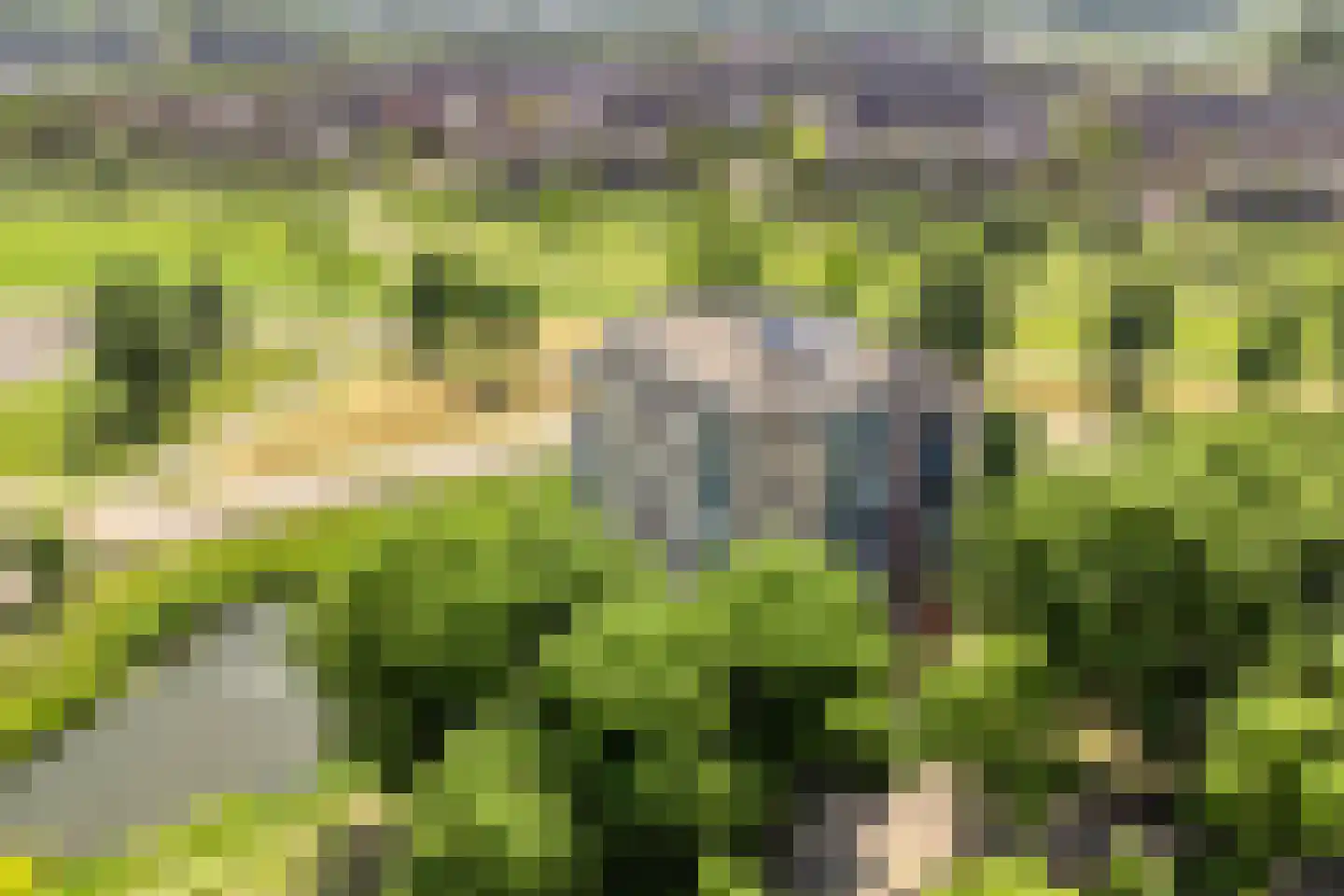 Winterpolder 20 Houten thumbnail 47