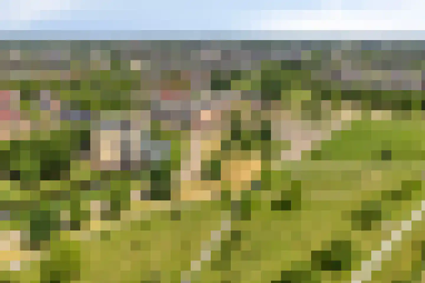 Winterpolder 20 Houten thumbnail 48