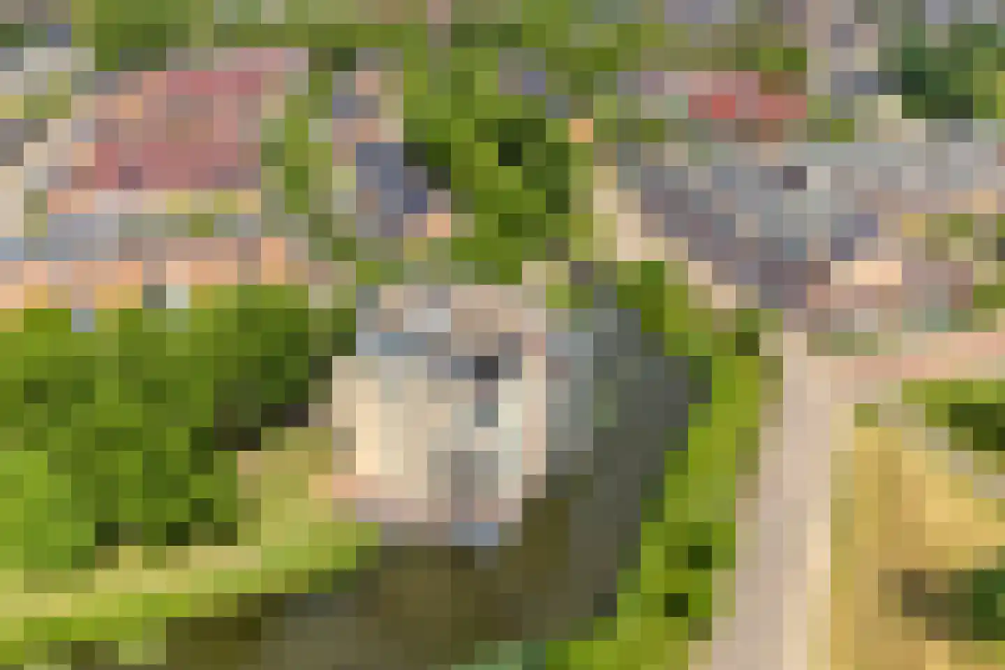 Winterpolder 20 Houten thumbnail 50