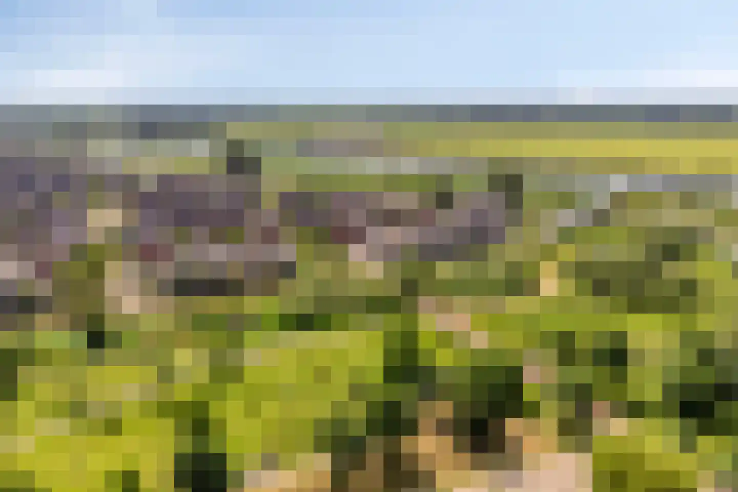 Winterpolder 20 Houten thumbnail 51