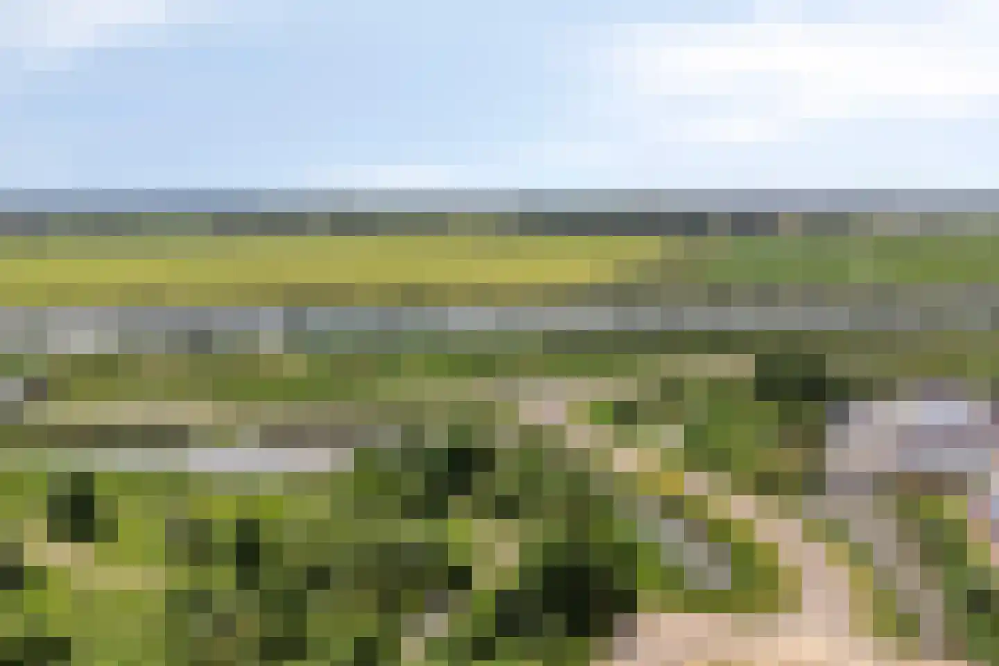 Winterpolder 20 Houten thumbnail 53