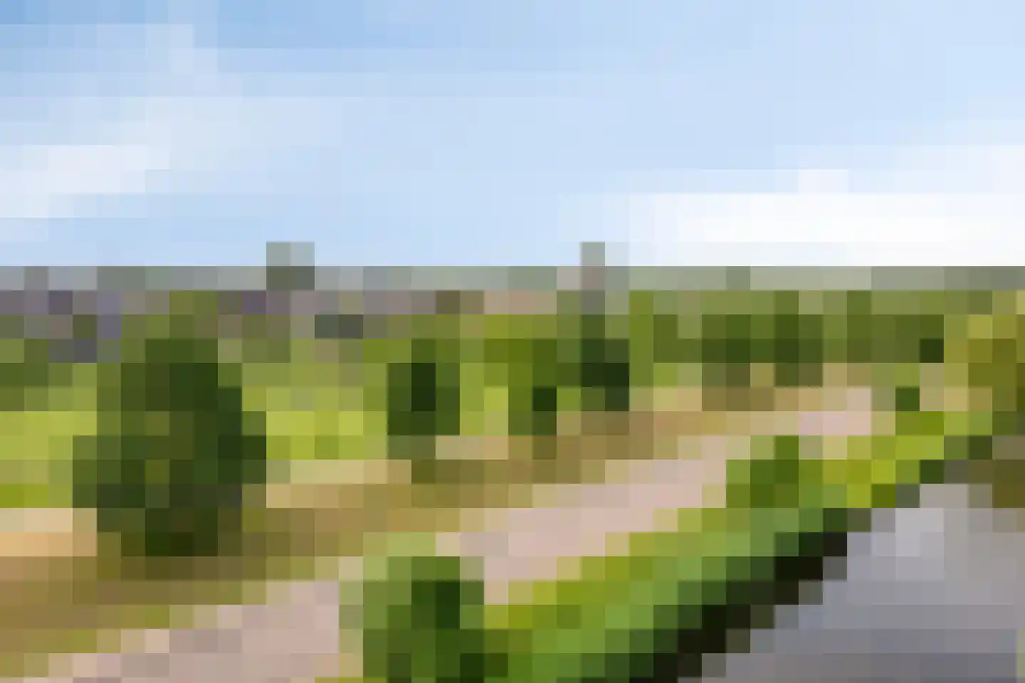 Winterpolder 20 Houten thumbnail 54