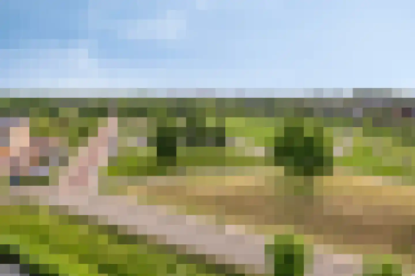Winterpolder 20 Houten thumbnail 55