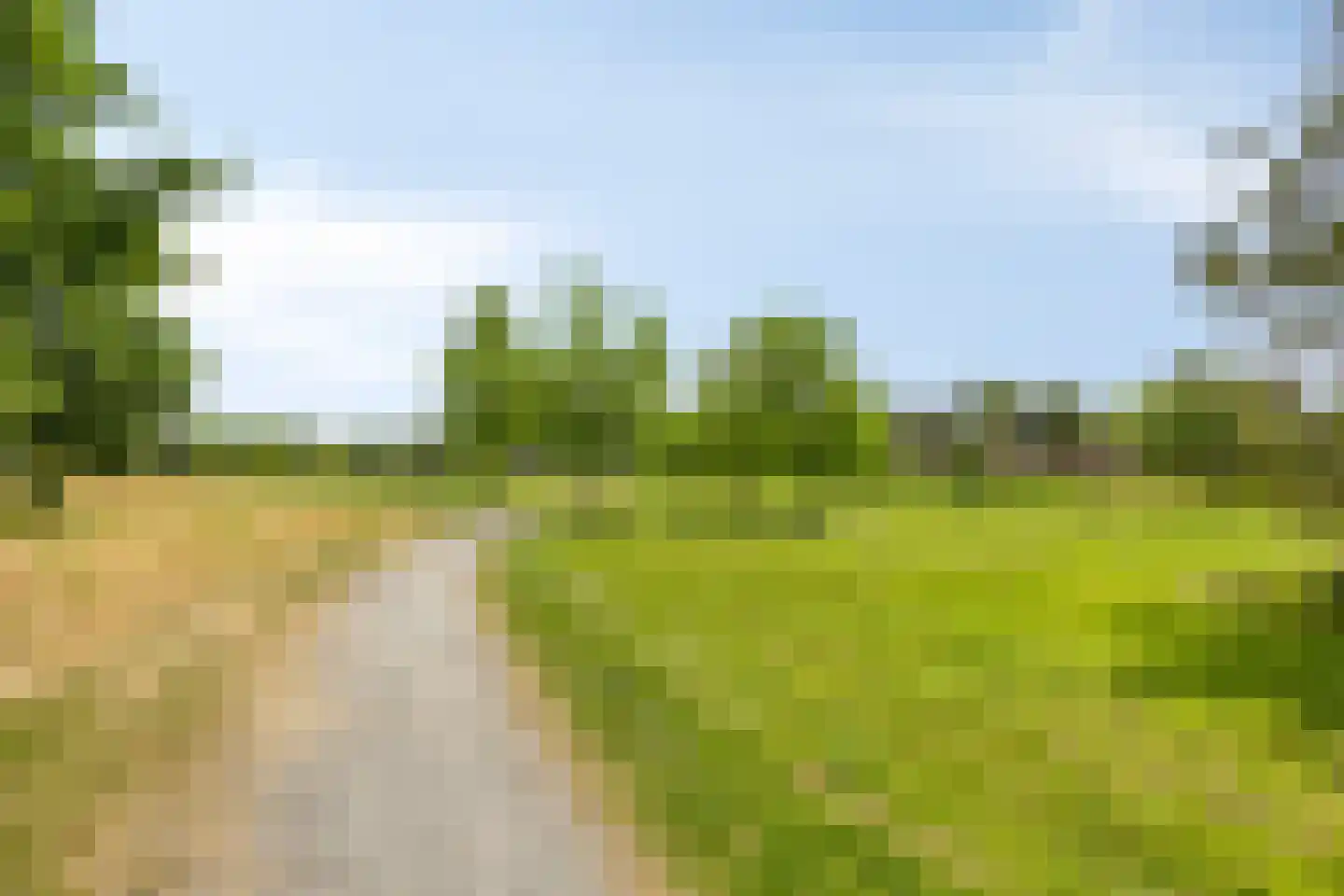 Winterpolder 20 Houten thumbnail 56