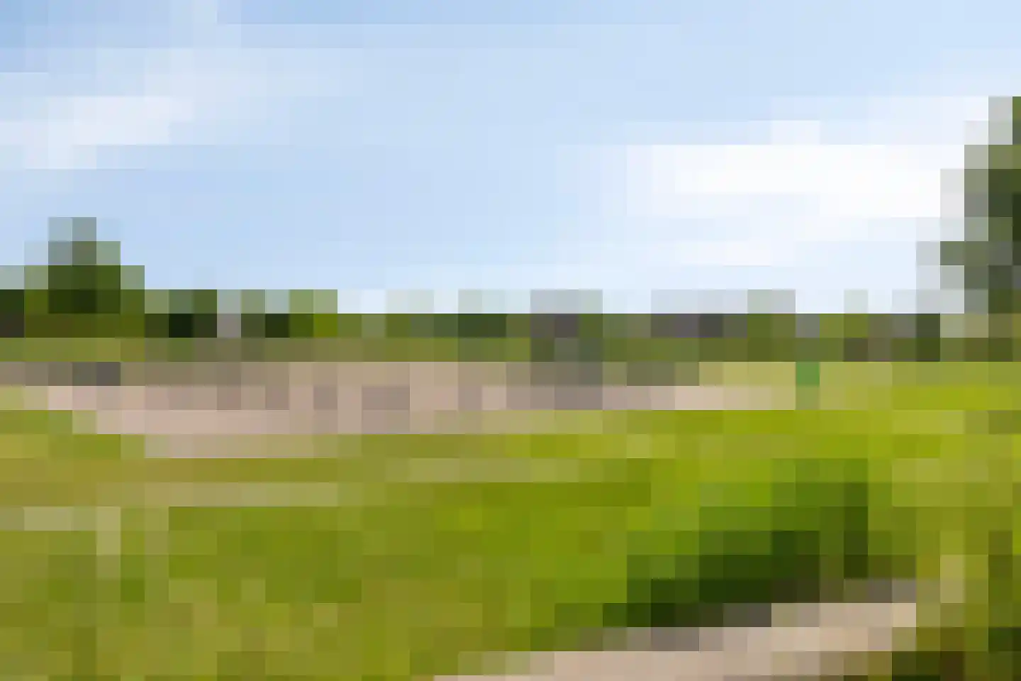 Winterpolder 20 Houten thumbnail 57