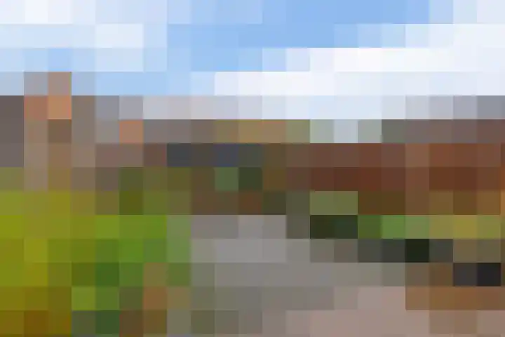 Winterpolder 7 Houten thumbnail 18