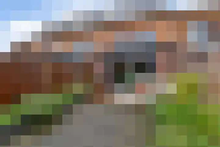 Winterpolder 7 Houten thumbnail 20