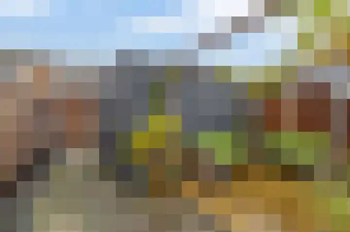 Winterpolder 7 Houten thumbnail 21
