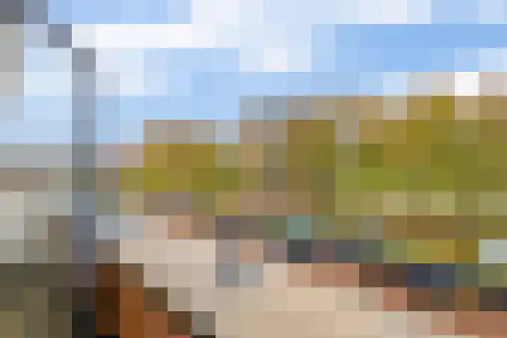 Winterpolder 7 Houten thumbnail 36