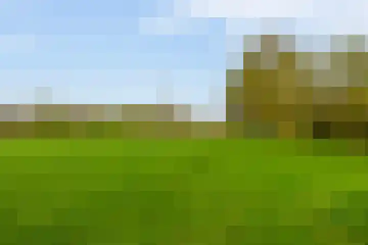 Winterpolder 7 Houten thumbnail 44