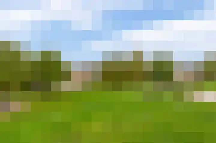 Winterpolder 7 Houten thumbnail 45