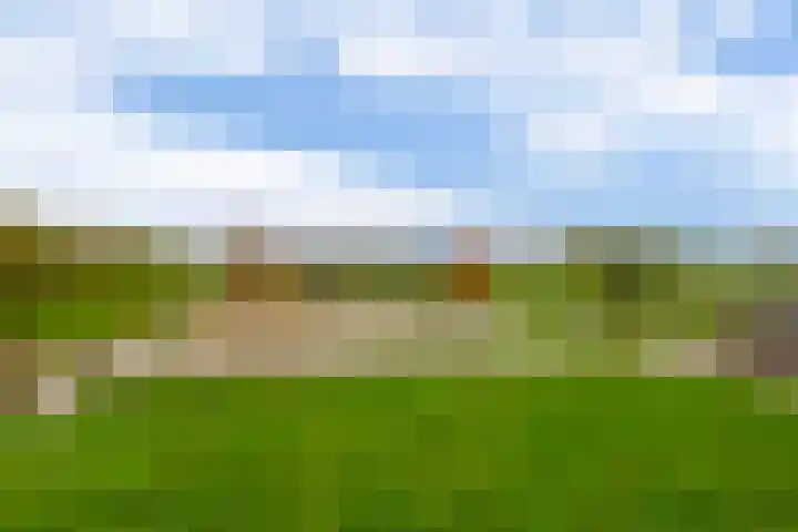 Winterpolder 7 Houten thumbnail 46