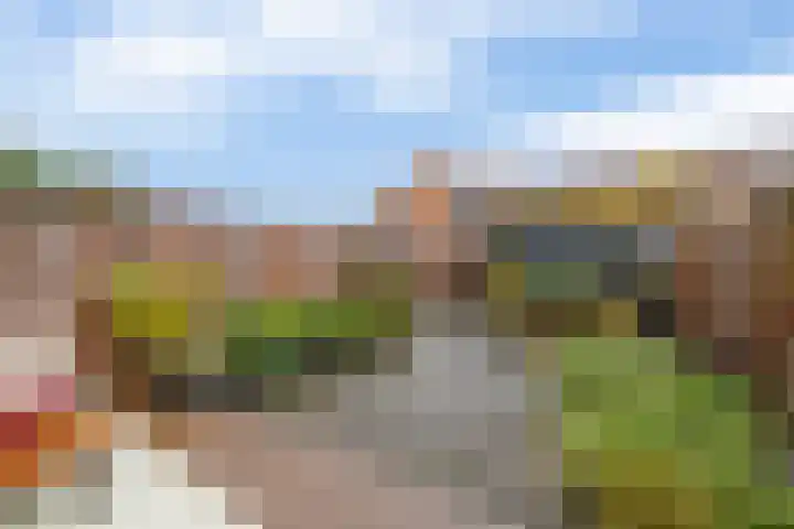 Winterpolder 7 Houten thumbnail 5