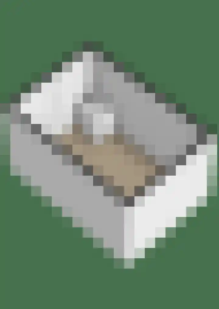Winterpolder 7 Houten thumbnail 54