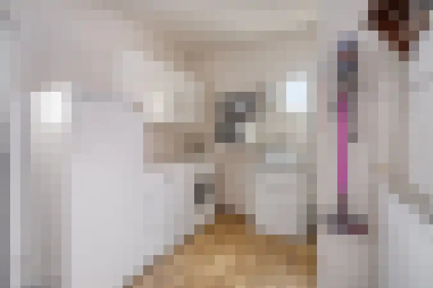 Winterstraat 10 Neer thumbnail 14
