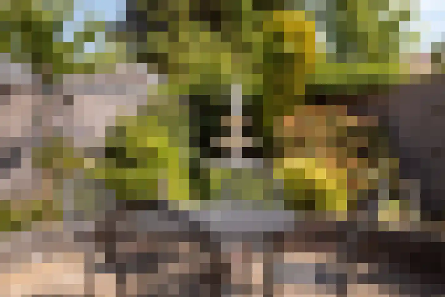 Winterstraat 10 Neer thumbnail 32