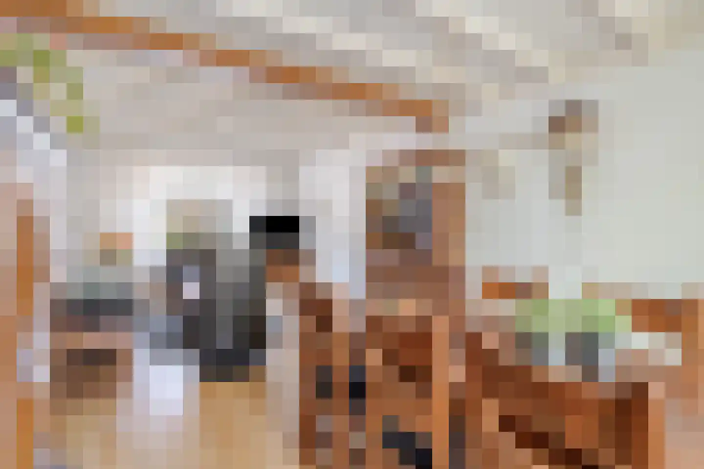 Winterstraat 10 Neer thumbnail 8