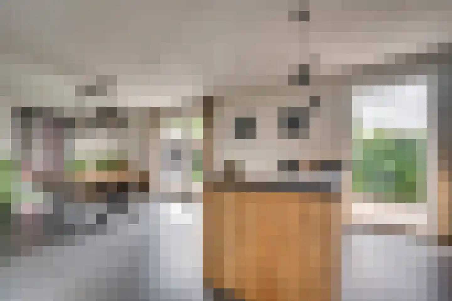 Winterstraat 2 d Neer thumbnail 18