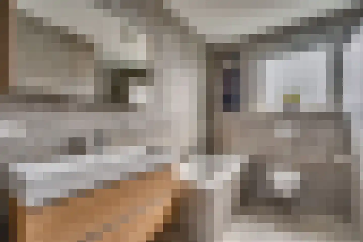 Winterstraat 2 d Neer thumbnail 35