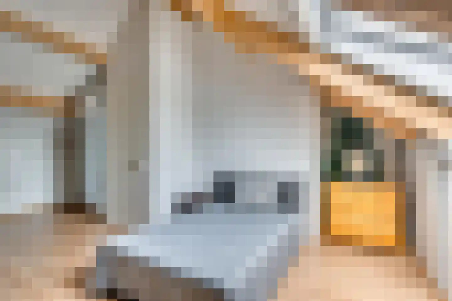 Winterstraat 2 d Neer thumbnail 42