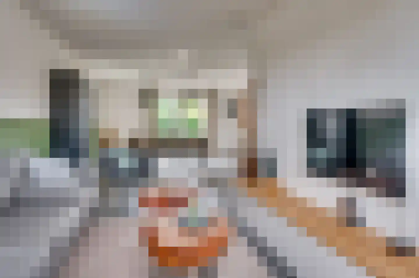 Winterstraat 2 d Neer thumbnail 6