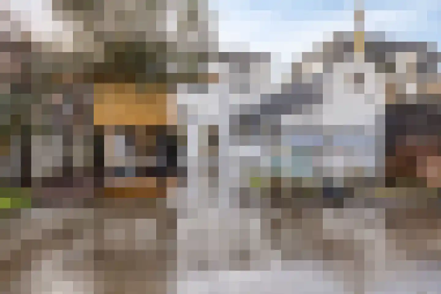 Winterstraat 2 Dirksland thumbnail 50