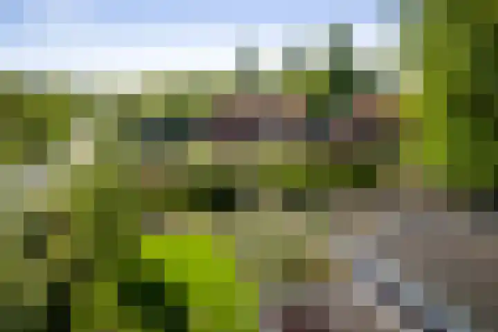 Winterswijkseweg 26 Groenlo thumbnail 11